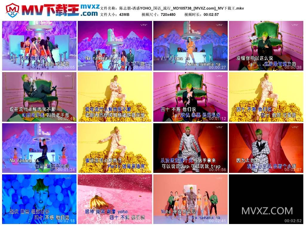 陈志朋-诱惑YOHO_国语_流行_MD105738